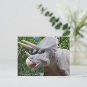 トリケラトプス/恐竜 ポストカード (スタンド正面)