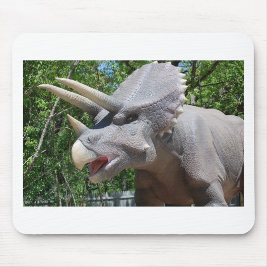 トリケラトプス/恐竜 マウスパッド (正面)
