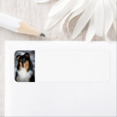 トリコラーコリー ラベル (インサイチュ)