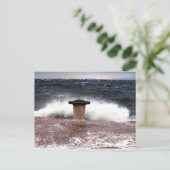 トリステモロ尾翼 ポストカード (スタンド正面)