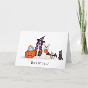 トリックか治療か?衣装を着た犬のハロウィンカード カード