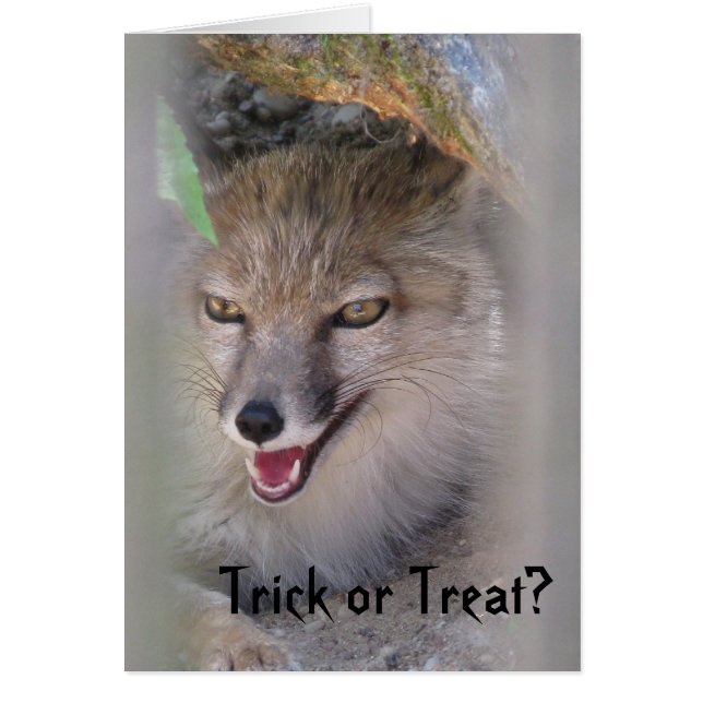 トリック・オア・トリートか。 (正面)