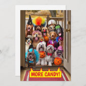 トリック・オア・トリートする犬たち 招待状 (正面/裏面)