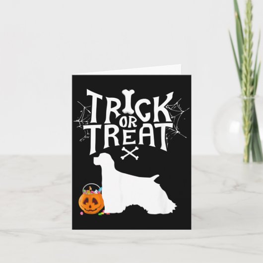 トリック・オア・トリート スパニエル ハロウィン犬服 カード (正面)