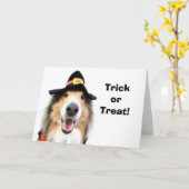 トリック・オア・トリート! ハロウィンカード カード (黄色い花)