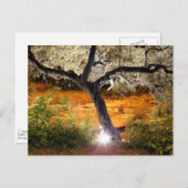 トリップ(幻覚体験)のようななオークの木 ポストカード (正面/裏面)