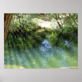 トリップ（幻覚体験）のようなサイケデリック水 ポスター