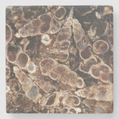 トリテッラアゲートフォシルスストーンコースター ストーンコースター (正面)