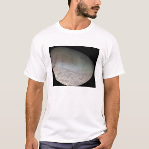 トリトンの惑星ネプチューンの最も大きい月 Tシャツ