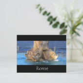 トリトン噴水 – ローマ ポストカード (スタンド正面)