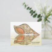 トリトン貝殻はがき ポストカード (スタンド正面)