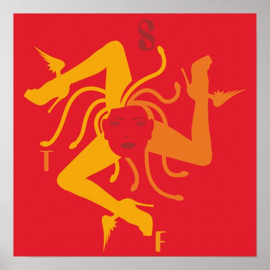 トリナクリアポスター01 ポスター (正面)