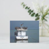 トリニダードのサン・フェルナンド埠頭のペリカン ポストカード (スタンド正面)