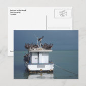 トリニダードのサン・フェルナンド埠頭のペリカン ポストカード (正面/裏面)