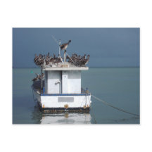 トリニダードのサン・フェルナンド埠頭のペリカン