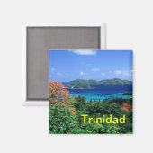 トリニダード磁石 マグネット (正面/裏面)