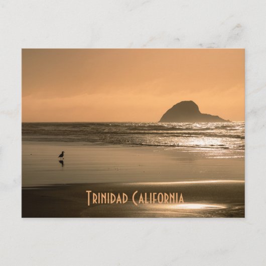 トリニダード・カリフォルニア ポストカード (正面)