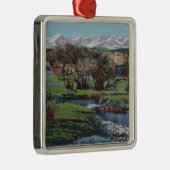 トリニダード、コロラド州- Snowyの範囲及び谷の眺め メタルオーナメント (右)