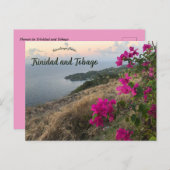 トリニダード・トバゴの花 ポストカード (正面/裏面)