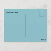 トリニダード・トバゴビーチ ポストカード (裏面)