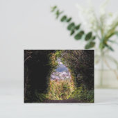 トリニダード ポストカード (スタンド正面)