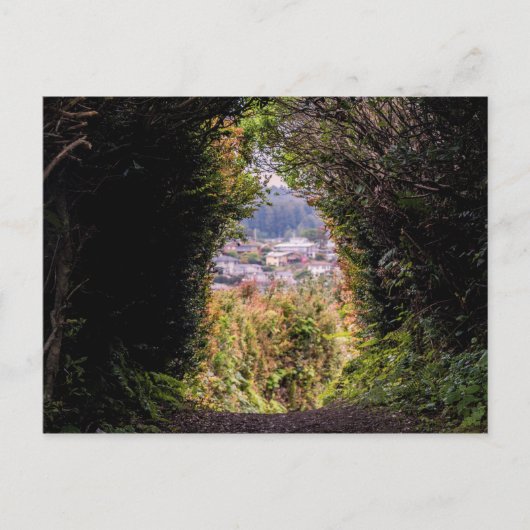 トリニダード ポストカード (正面)