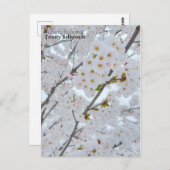 トリニティ・さくらんぼの花の葉書 ポストカード (正面/裏面)