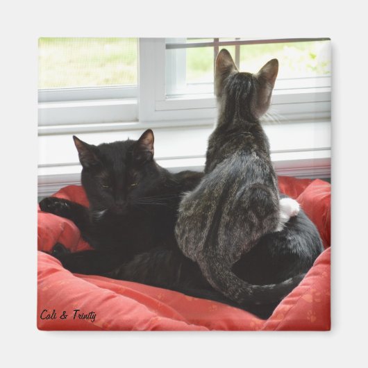 トリニティ&カリ マグネット (正面)