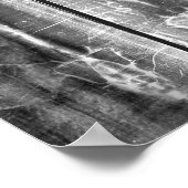 トリノ全版シュラウド ポスター (角)