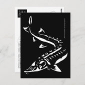 トリバル1 ポストカード (正面/裏面)