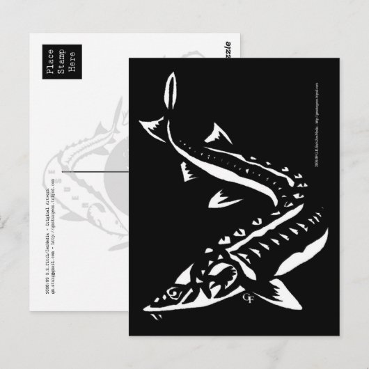 トリバル1 ポストカード (正面/裏面)