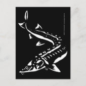 トリバル1 ポストカード (正面)