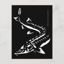 トリバル1 ポストカード