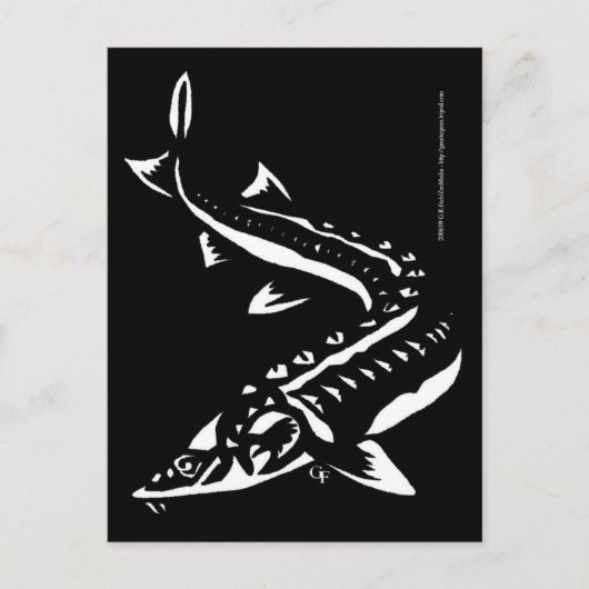 トリバル1 ポストカード (正面)