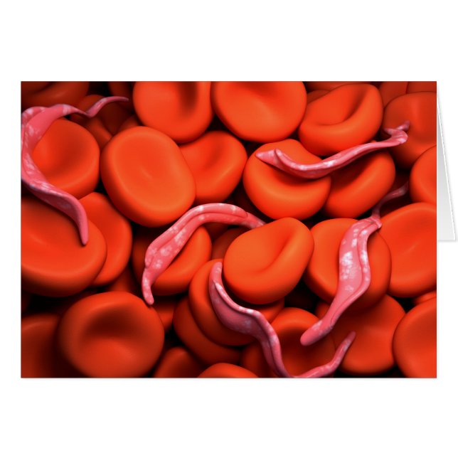 トリパノソーマ概念図3 (正面横)