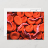 トリパノソーマ概念図3 ポストカード (正面/裏面)