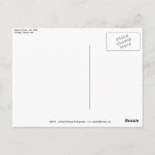 トリビューンタワー01 ポストカード (裏面)