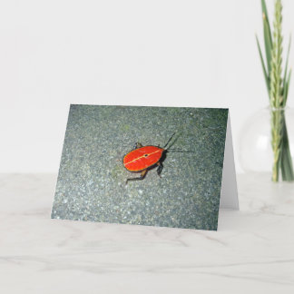 トリブレーション岬 カード