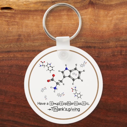 トリプトファン分子 キーホルダー (正面)