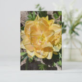 トリプルイエローのチューリップ空白の花カード (スタンド正面)