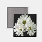 トリプルデライトマグネット マグネット (正面/裏面)