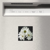 トリプルデライトマグネット マグネット (インサイチュ (食洗機))