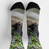 **「トリプルトラブル：カワトリプレットの冒険 ソックス (上部)