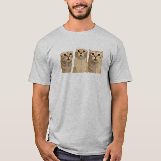 トリプルドローリングばか猫ミーム Tシャツ (正面)