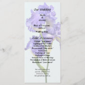 トリプルパープルアイリス プログラム (正面)