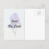 トリプルパープルアイリス 案内ポストカード (裏面)