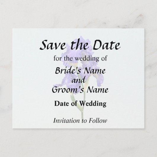 トリプルパープルアイリス 案内ポストカード (正面)