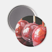 トリプル型の脅威マグネット マグネット (正面/裏面)