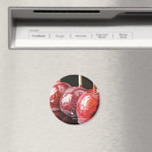 トリプル型の脅威マグネット マグネット (インサイチュ (食洗機))