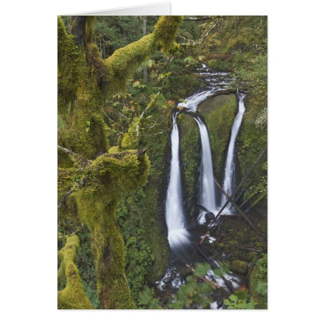 トリプル滝、コロンビアリバー峡谷 (正面)